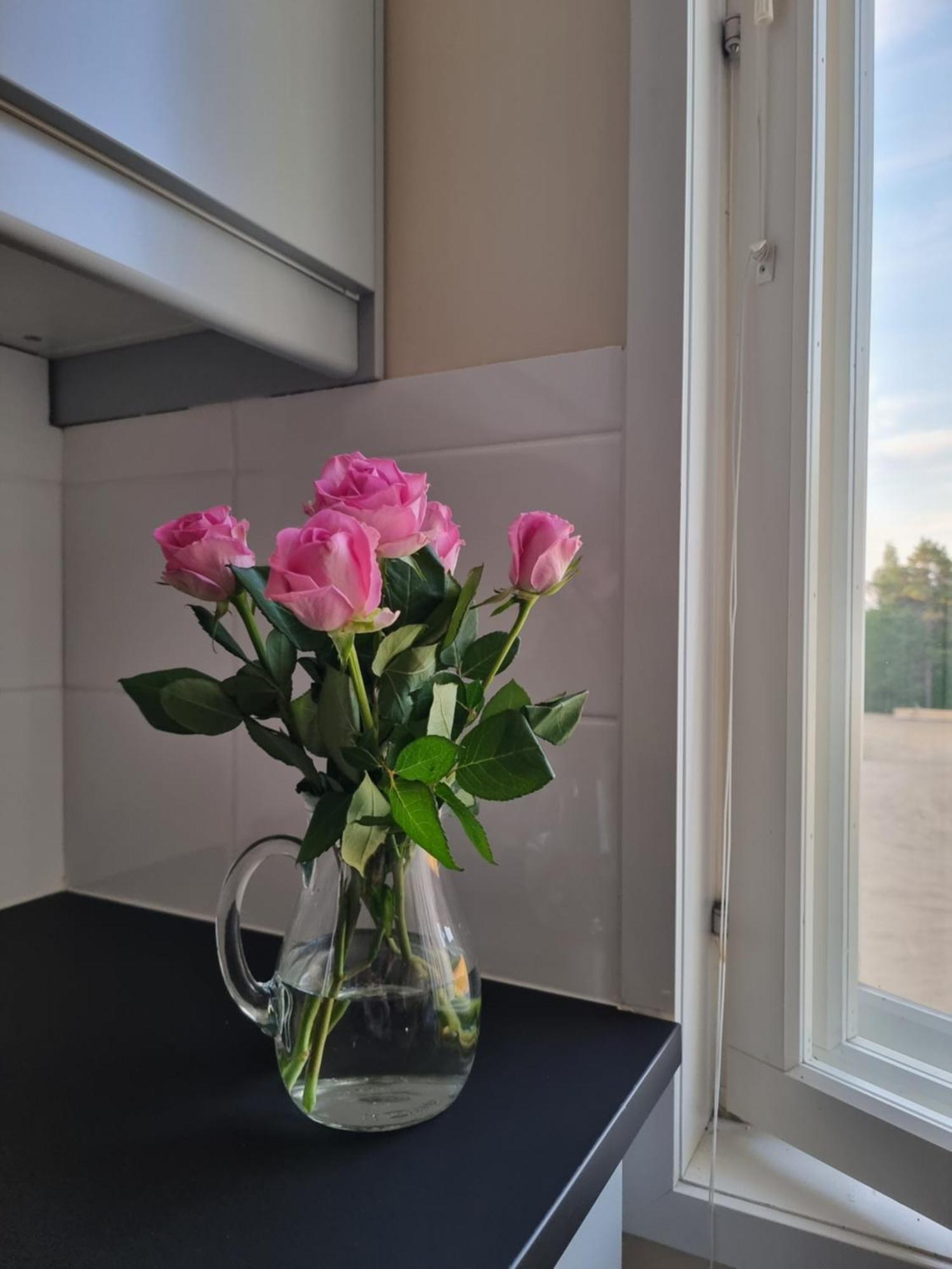 Kuukkeli Ivalo Airport Inn Екстериор снимка